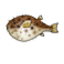 blowfish